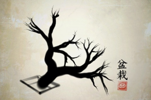 iBonsai screenshot